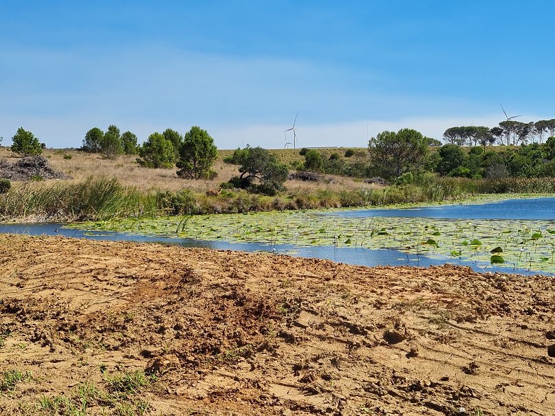 Commercial Property for Sale in Twin Valley Eastern Cape